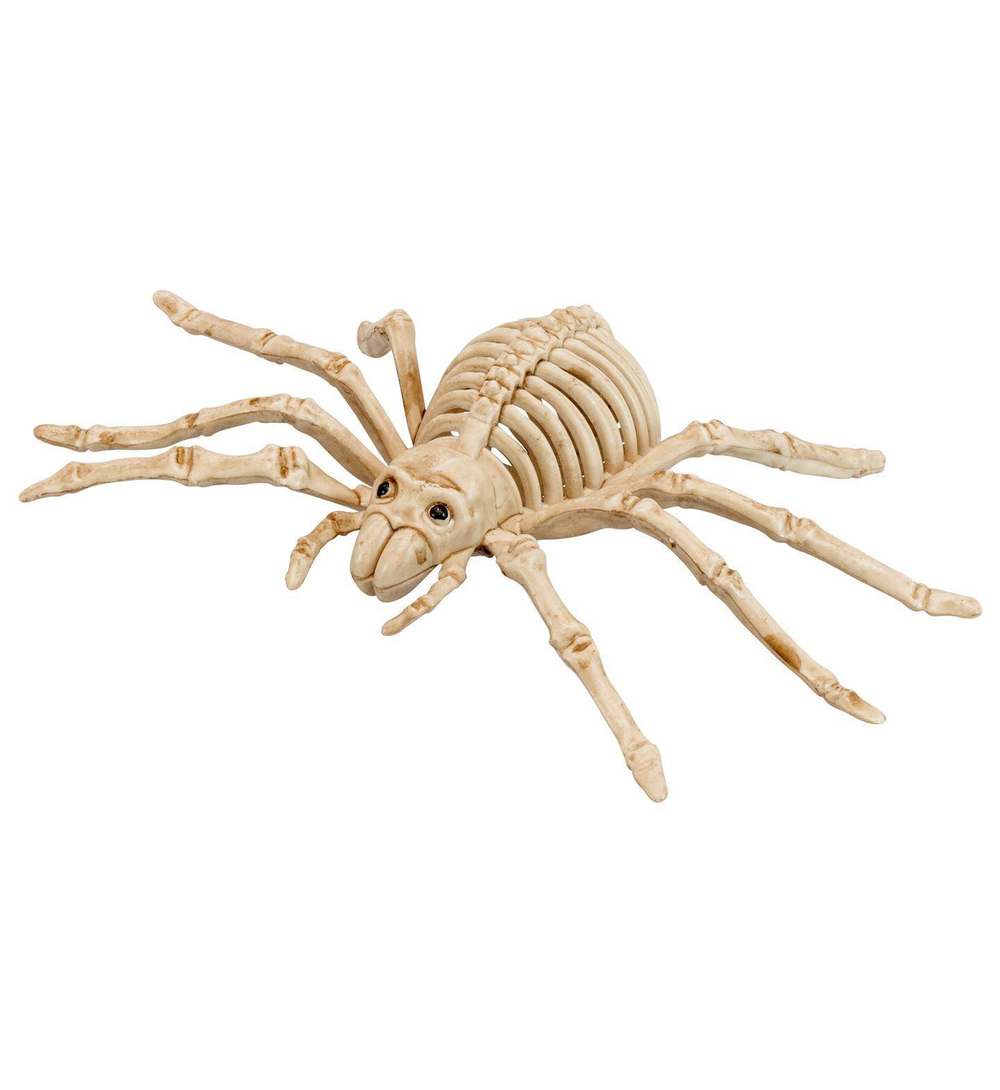 Griezelige skelet spin 24 cm  perfecte decoratie voor halloween en griezelfeesten