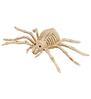 Griezelige skelet spin 24 cm  perfecte decoratie voor halloween en griezelfeesten