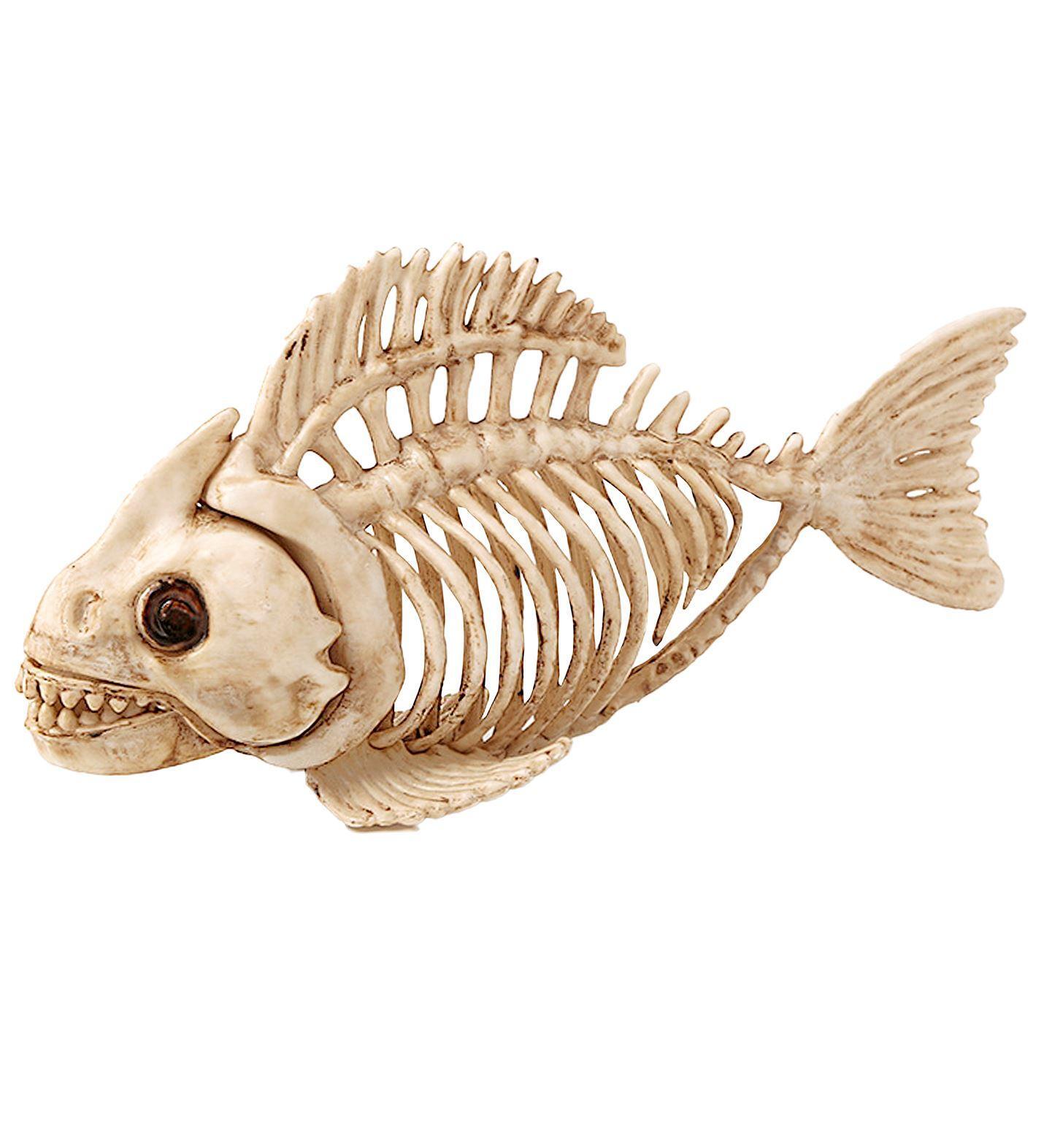 Griezelige skelet van een vis uitgemergelde decoratie 23 cm – perfect voor halloween en scary Party