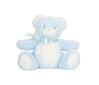Knuffel blue teddy/blue