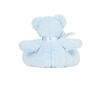 foto 2 Knuffel blue teddy/blue
