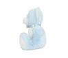 foto 3 Knuffel blue teddy/blue