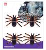 foto 3 Set van 4 gekleurde tarantula spinnen 7 cm de ideale halloween decoratie!