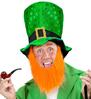 foto 2 St. patrick's day hoge hoed met baard