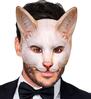 foto 3 Transformeer je in een betoverende kat met het originele kinloze katten masker