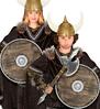 foto 5 Viking schild rond 40 cm met handvat authentiek accessoire voor Cosplay en viking themafeesten