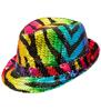 foto 3 Brul als een tijger en straal als een regenboog met de fedora hoed pailletten in tijgerprint