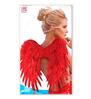 foto 4 Rode veren vleugels opvouwbaar 50 x 50 cm perfect voor festivals carnaval en themafeesten