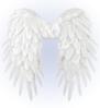 Witte engelenvleugels 50 x 50 cm jouw hemelse touch voor festivals en feesten
