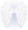 foto 3 Witte engelenvleugels opvouwbaar 50 x 50 cm voor een ware engel tijdens themafeesten, festivals en kerst