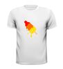 foto 13 Shirt met een smeltend raketijsje