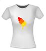 foto 14 Shirt met een smeltend raketijsje