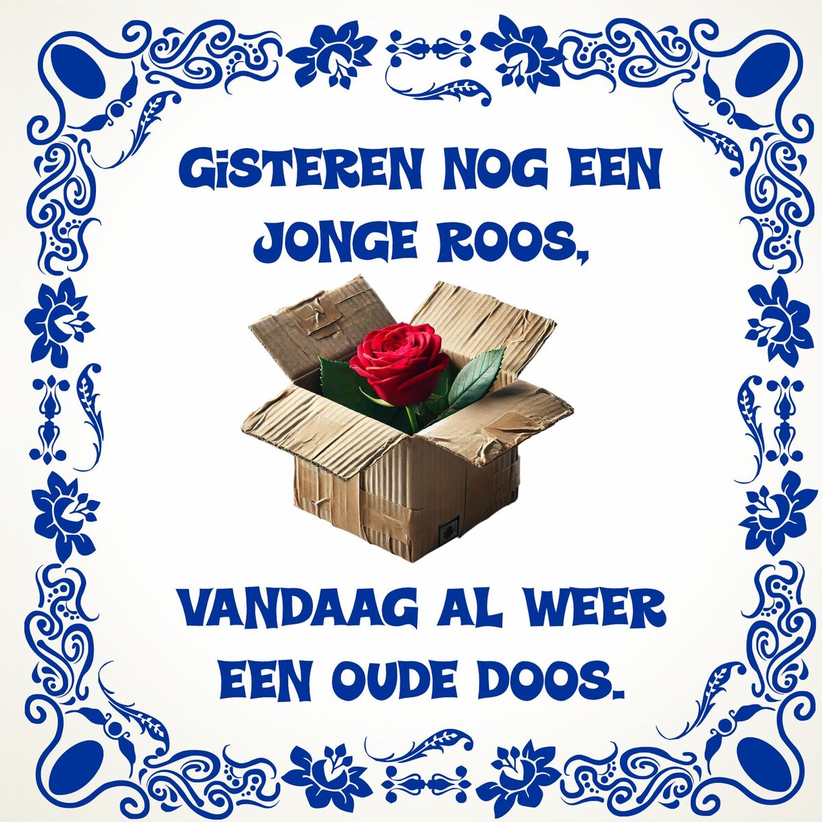 Verjaardag Tegel Gisteren nog een jonge roos vandaag al weer een oude doos