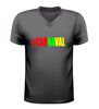 foto 1 V-hals shirt dames en heren Carnaval feestshirt in groen geel rood