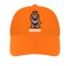 foto 6 Nederland oranje leeuw cap pet met rood wit blauw opdruk voor EK WK en koningsdag