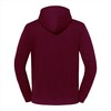foto 2 lichtgewicht hoodie bordeaux Fruit of the Loom Iconic 250 Hooded