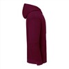 foto 3 lichtgewicht hoodie bordeaux Fruit of the Loom Iconic 250 Hooded