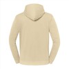 foto 2 lichtgewicht hoodie desert sand Fruit of the Loom Iconic 250 Hooded