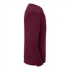 foto 3 Sweater Fruit of the Loom Iconic bordeaux